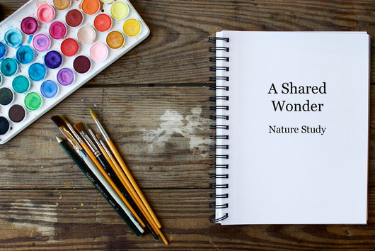 A Shared Wonder Nature Study: Entomology